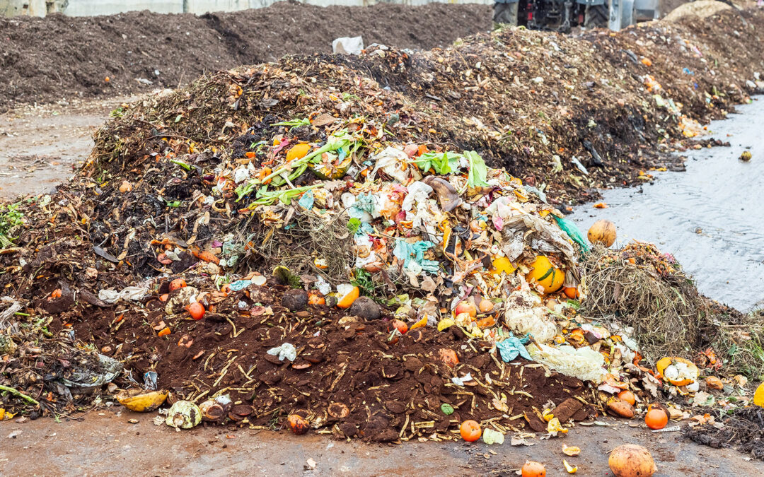What is Recycled Horticultural Waste?