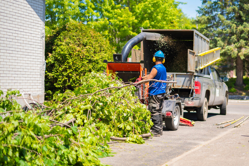 Dumpster Rentals