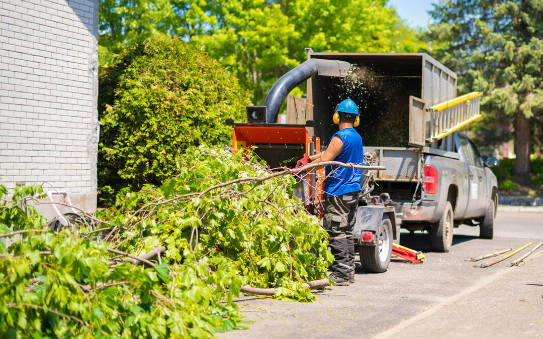 How Communities Can Protect the Environment