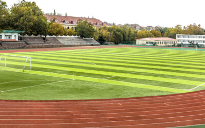 Impact of Recycled Mulch and Topsoil on Sports Fields and Parks